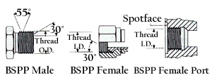 BSPP-tech